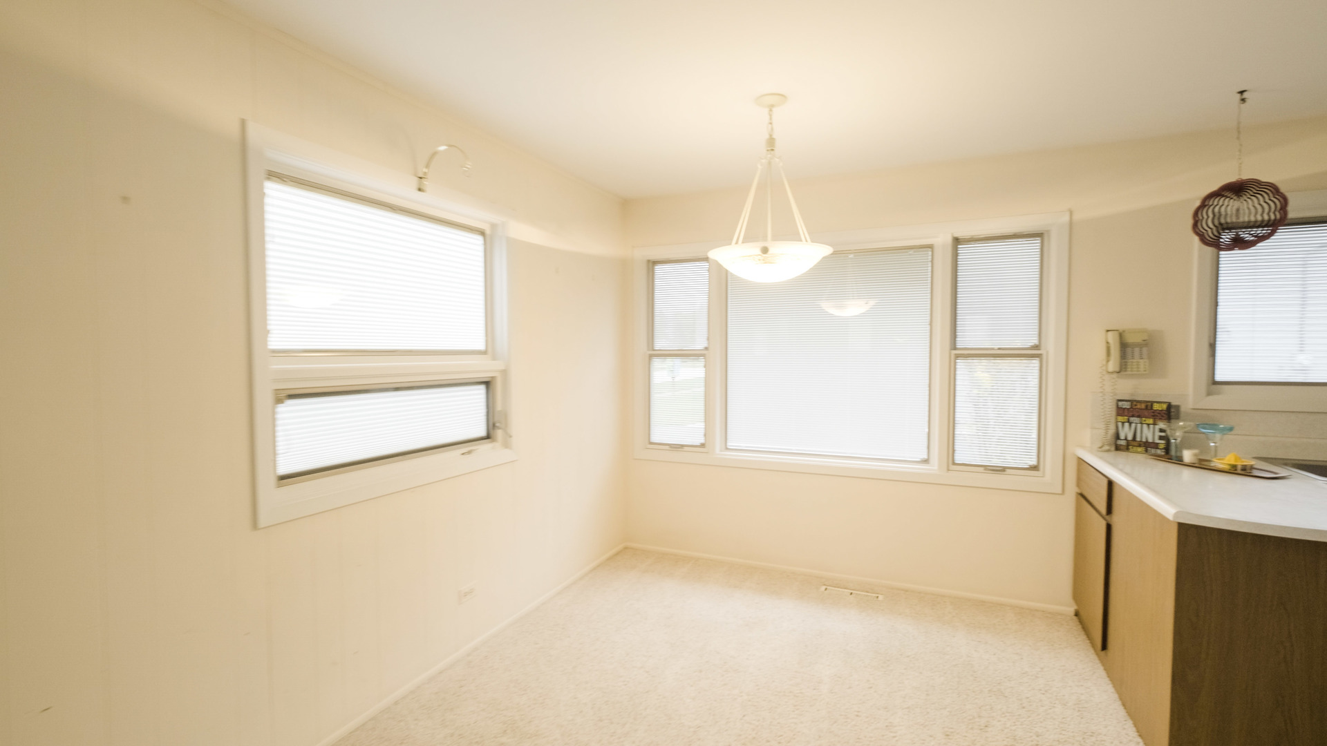 18461 Rae Lane Gurnee, IL 60031 - Photo 4 of 15