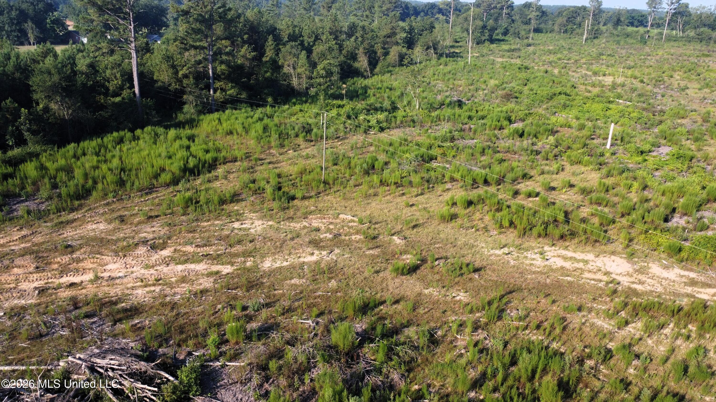 Ebenezer Road Columbia, MS 39429 - Photo 2 of 22 DJI_0932
