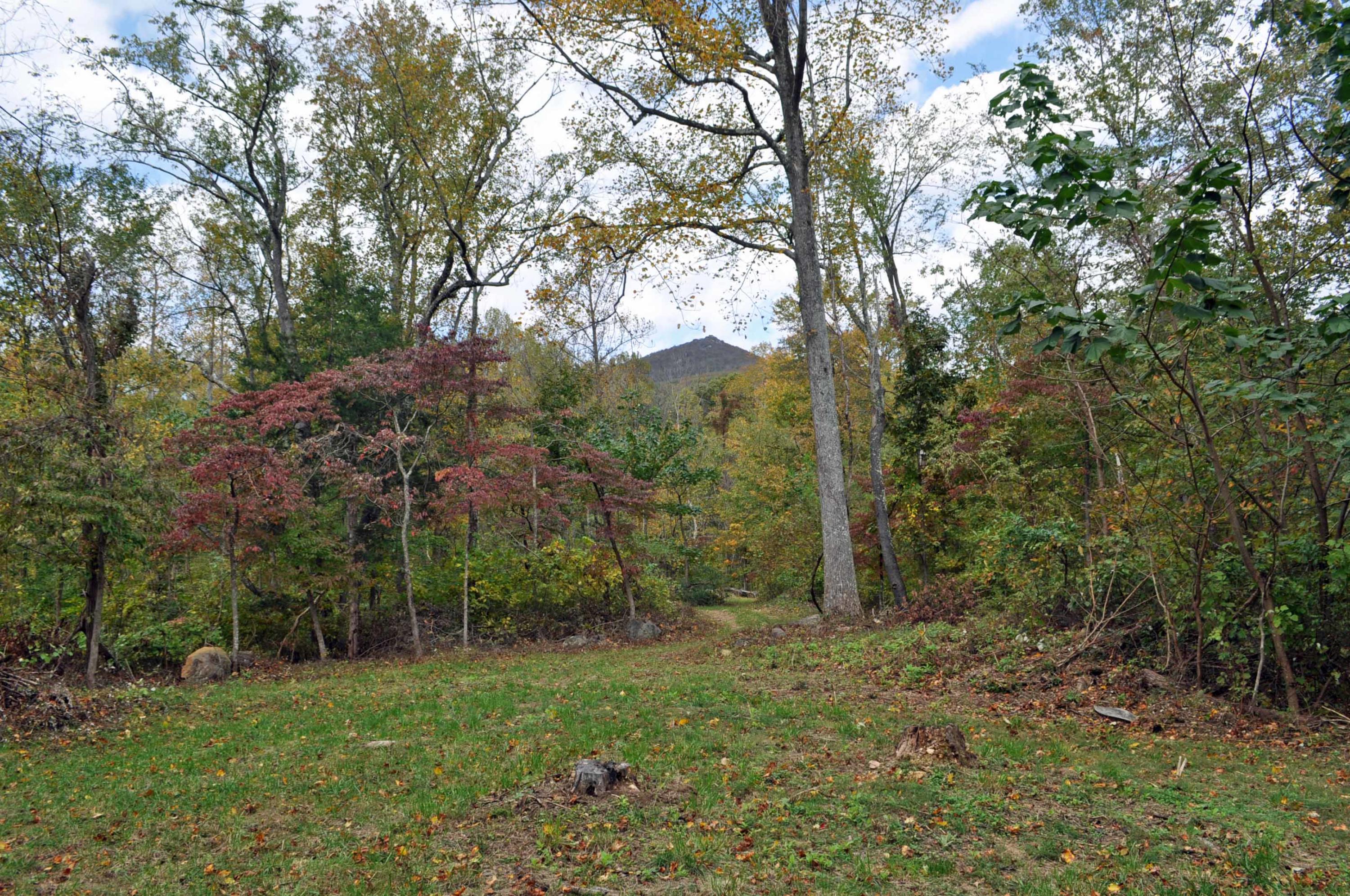 0 Karnes Road Bedford, VA 24523 - Photo 1 of 17 Wooded tract with mountain views