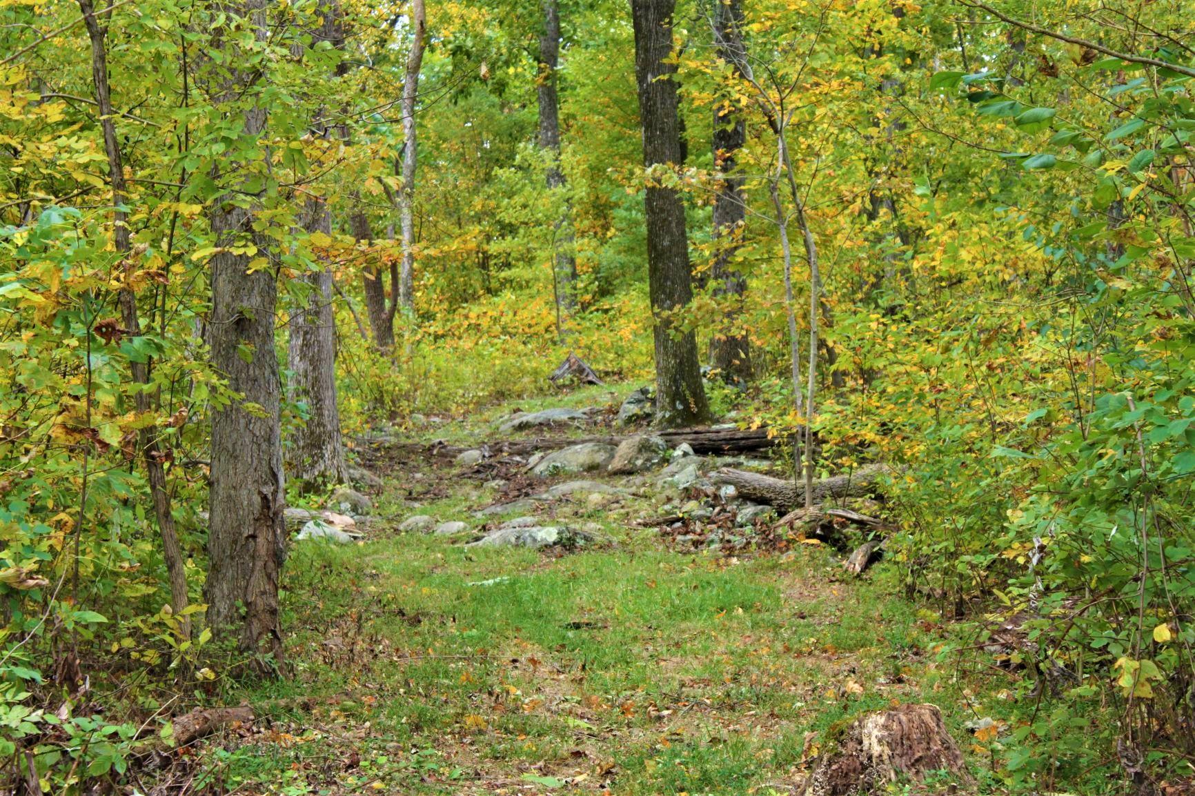 0 Karnes Road Bedford, VA 24523 - Photo 4 of 17 IMG_3134