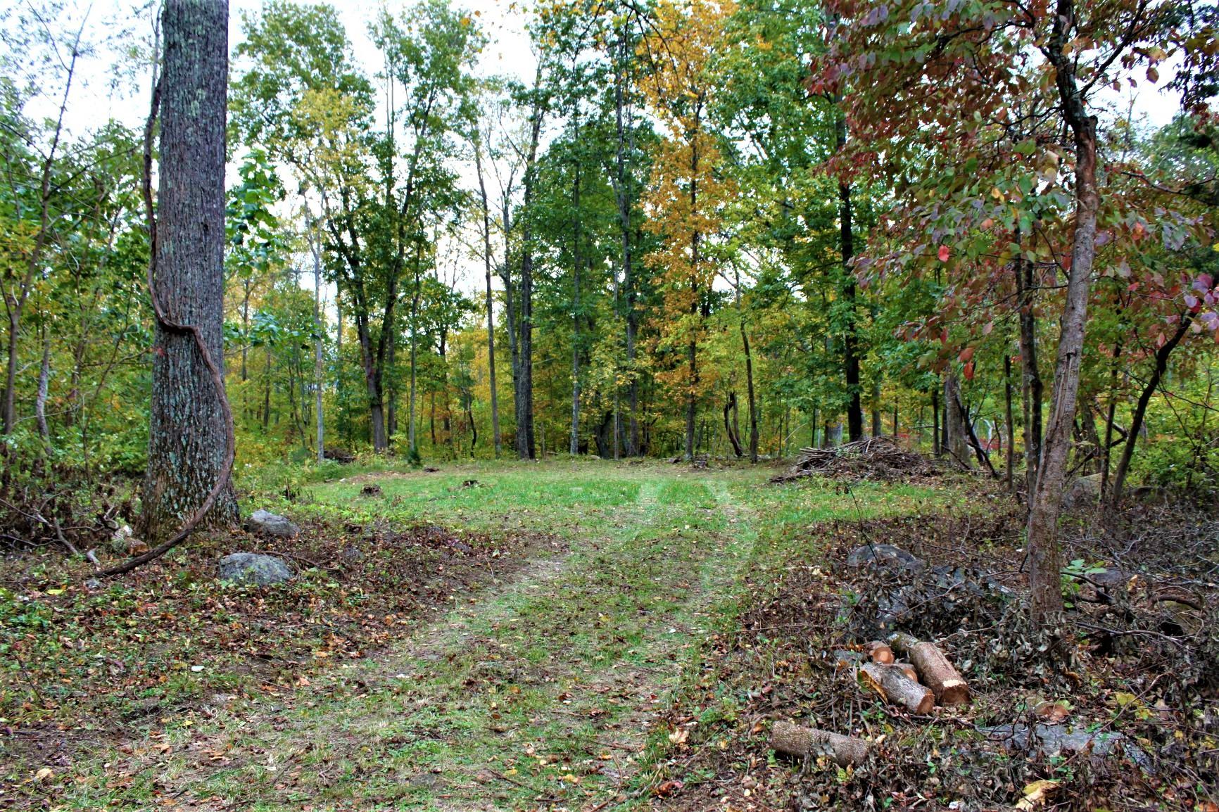 0 Karnes Road Bedford, VA 24523 - Photo 8 of 17 IMG_3138