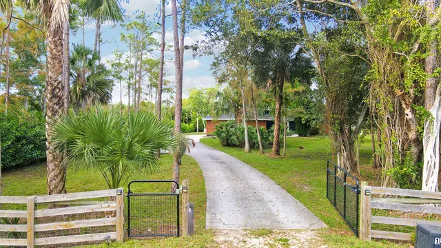 a view of a park with plants and large trees
