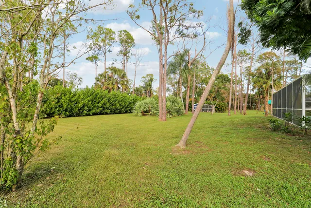 a view of a backyard with table and chairs and large tree
