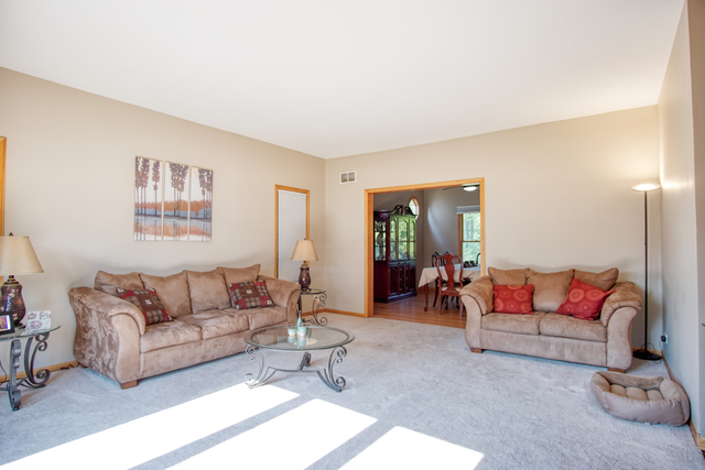 115 North Prospect Avenue Streamwood, IL 60107 - Photo 13 of 41 a living room with furniture and a couch