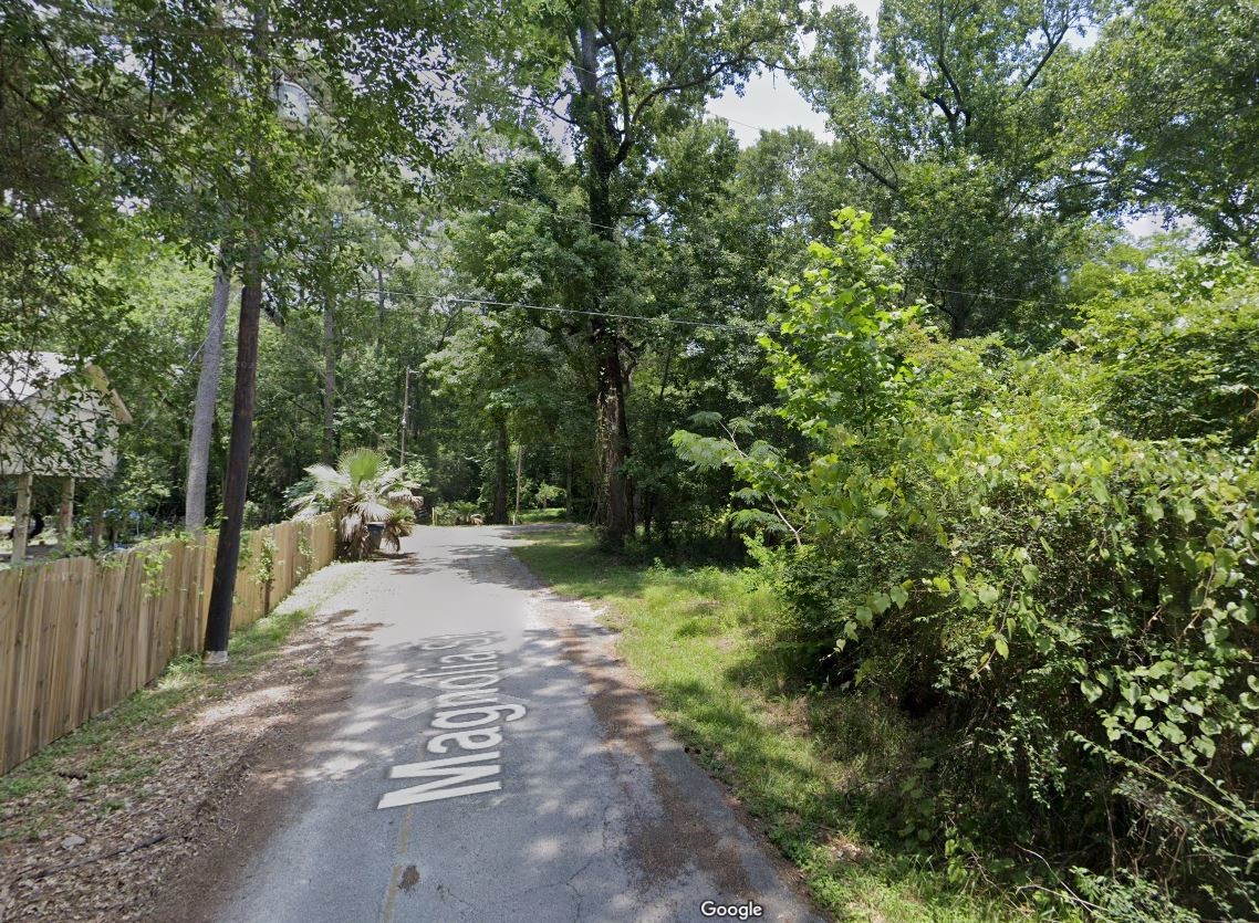 27 Magnolia Street Huffman, TX 77336 - Photo 3 of 6