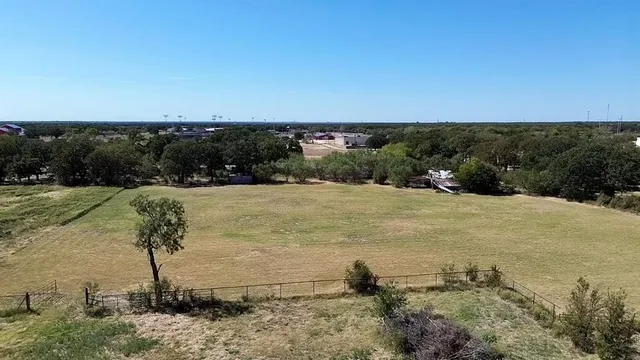 a view of a yard with plants and large trees