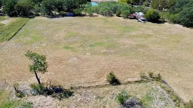 a view of a yard with trees