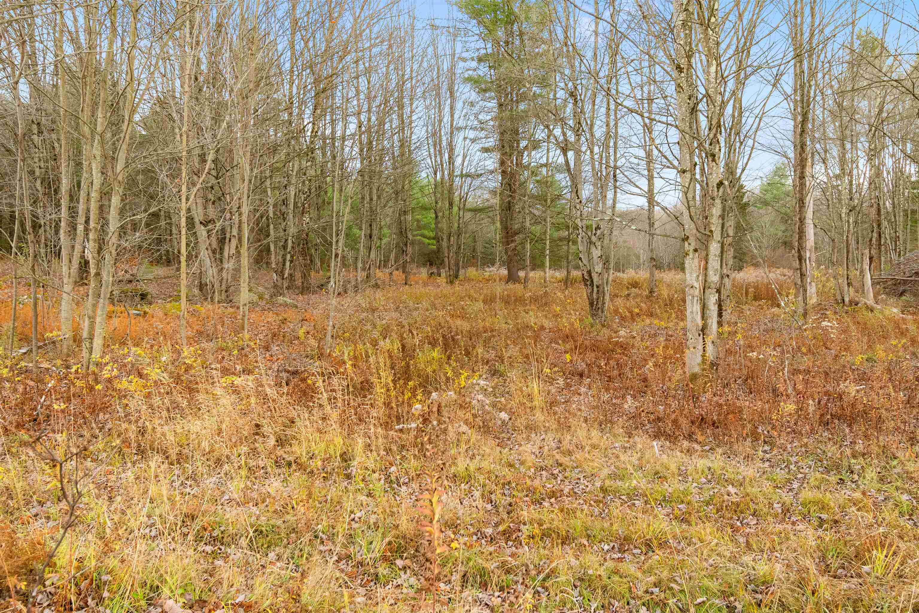 23 Mountain Spring Court Westford, VT 05494 - Photo 23 of 60