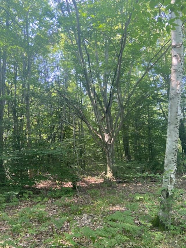 4988 East Wilson Road Harrison, MI 48625 - Photo 7 of 16