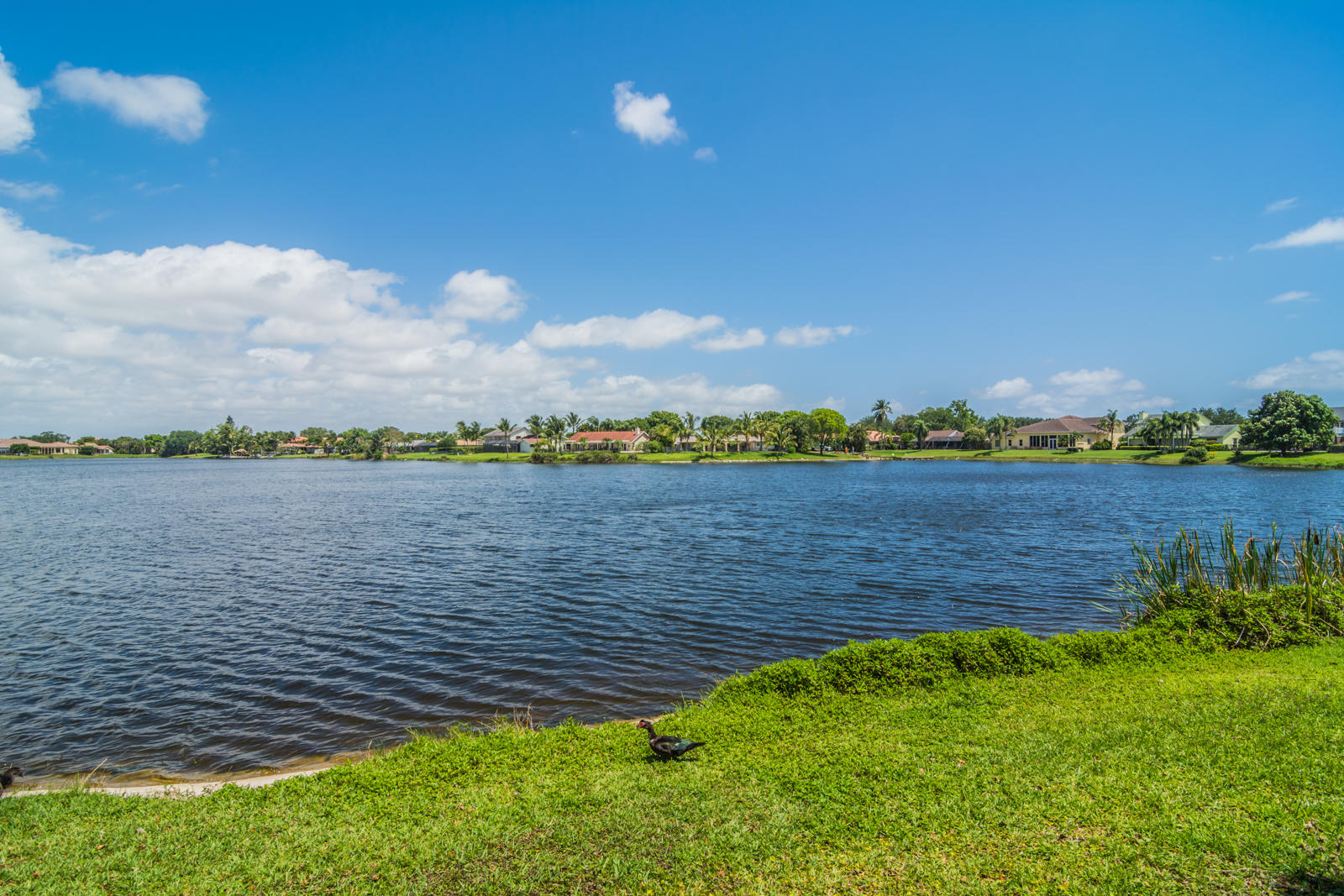 17571 Lake Park Road Boca Raton, FL 33487 - Photo 32 of 50 b-7