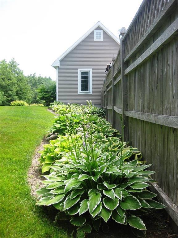22 Deerfield Road Ellsworth, ME 04605 - Photo 28 of 35 Hosta garden outside the pool fence