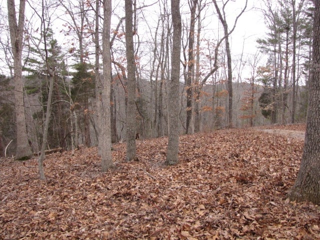 Mt Pleasant Road Shawsville, VA 24162 - Photo 4 of 9 Gallery Image 4