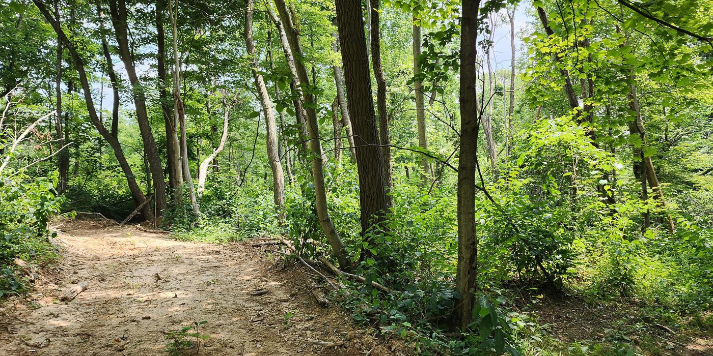 0 Back Run Road, Unit TRACT 1) Philo, OH 43771 - Photo 25 of 53 CT-23