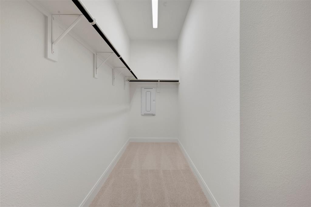1351 Potenza Road Fate, TX 75087 - Photo 25 of 25 Spacious walk-in closet featuring light-toned carpeting, white walls, and built-in shelving with hanging rods