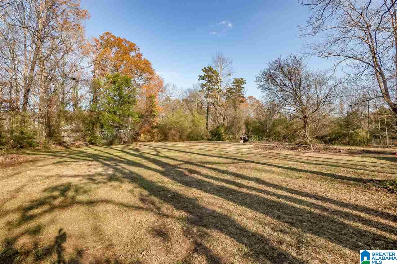 217 Drew Avenue Mulga, AL 35118 - Photo 35 of 45
