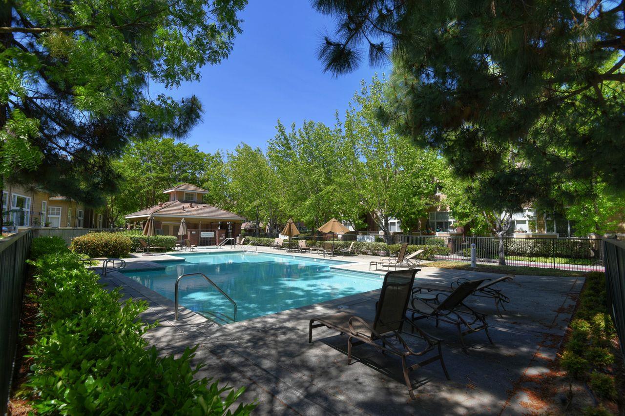 463 Mill River Lane San Jose, CA 95134 - Photo 30 of 30 a view of a swimming pool with lawn chairs under an umbrella