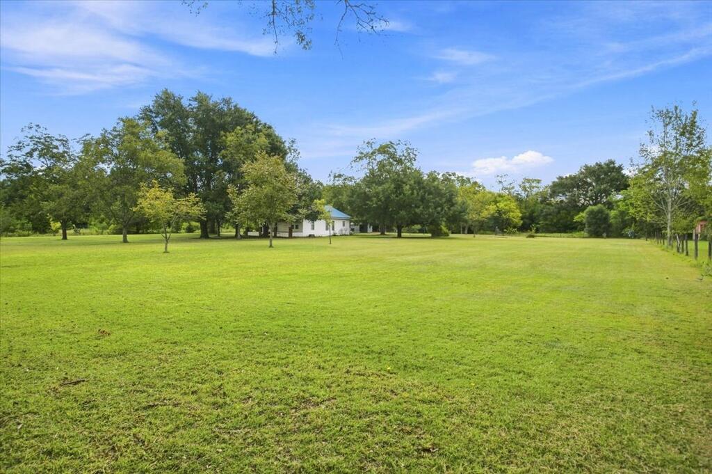 165 Hubbard Road Newton, AL 36352 - Photo 9 of 43 Gallery Image 9