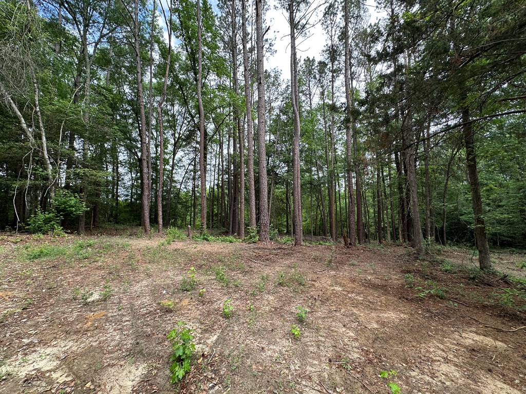 593 Mary McClendon Road Ozark, AL 36360 - Photo 59 of 65