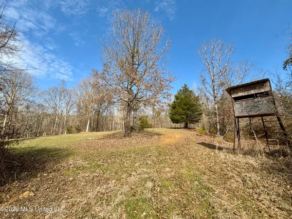 $995,000 | Ms-35, Vaiden, MS 39176