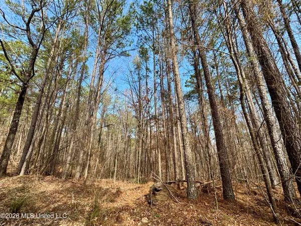 $995,000 | Ms-35, Vaiden, MS 39176