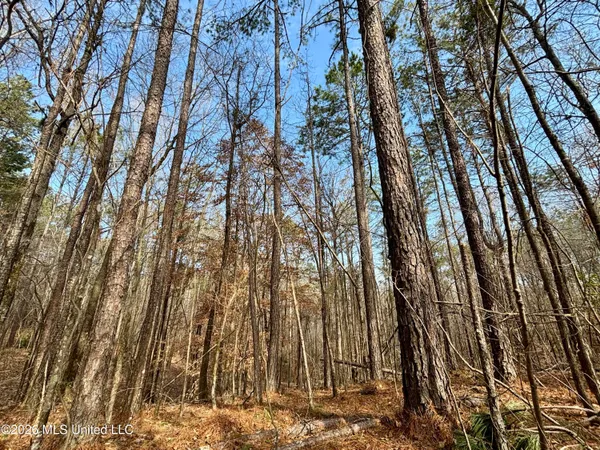 $995,000 | Ms-35, Vaiden, MS 39176