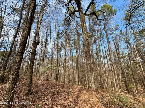 $995,000 | Ms-35, Vaiden, MS 39176