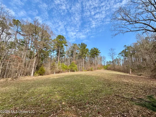 $995,000 | Ms-35, Vaiden, MS 39176