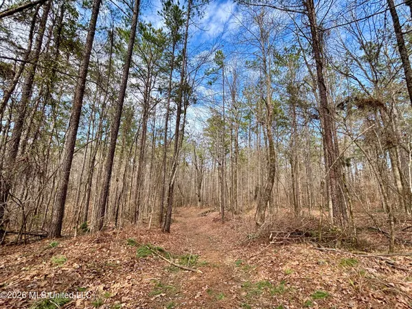 $995,000 | Ms-35, Vaiden, MS 39176