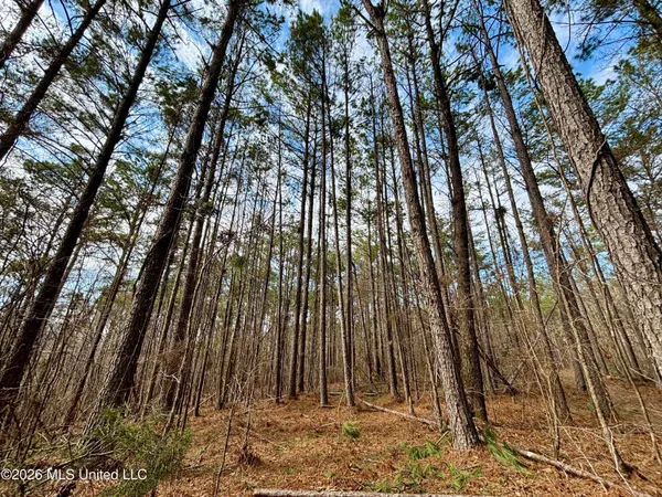 $995,000 | Ms-35, Vaiden, MS 39176