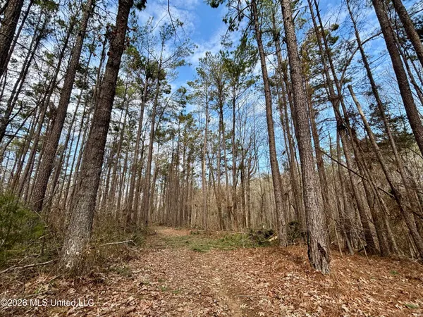 $995,000 | Ms-35, Vaiden, MS 39176