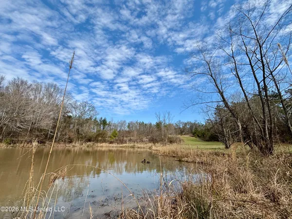 $995,000 | Ms-35, Vaiden, MS 39176