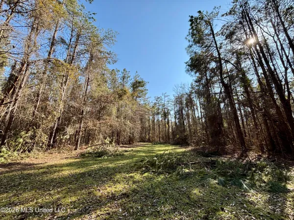 $995,000 | Ms-35, Vaiden, MS 39176