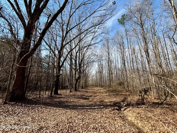 $995,000 | Ms-35, Vaiden, MS 39176