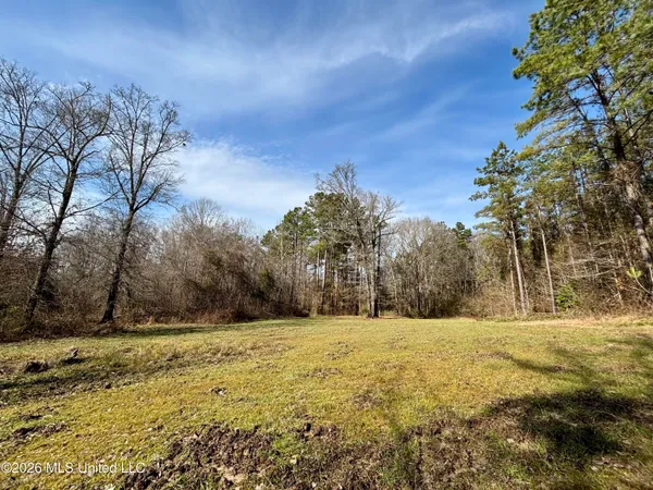 $995,000 | Ms-35, Vaiden, MS 39176