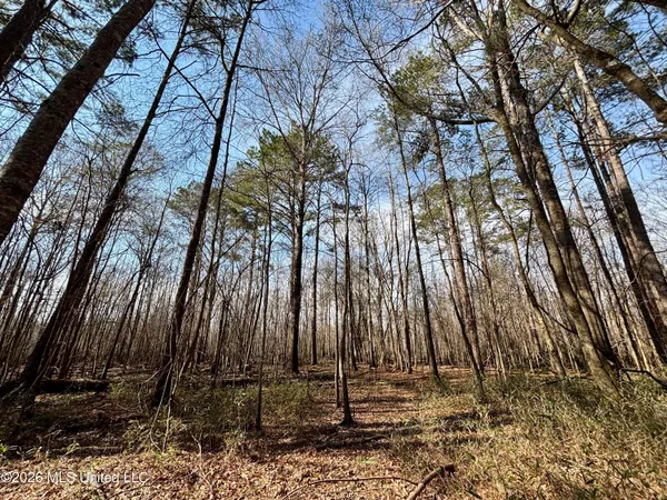 $995,000 | Ms-35, Vaiden, MS 39176