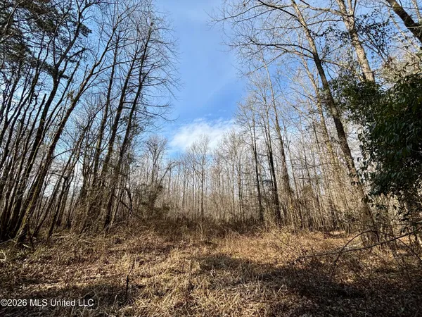 $995,000 | Ms-35, Vaiden, MS 39176