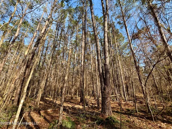 $995,000 | Ms-35, Vaiden, MS 39176