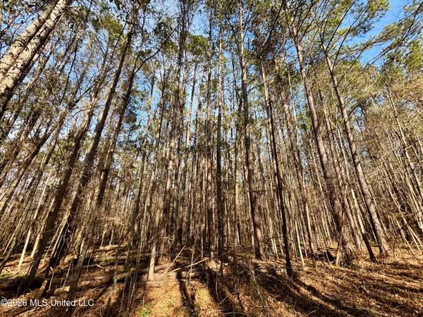 $995,000 | Ms-35, Vaiden, MS 39176