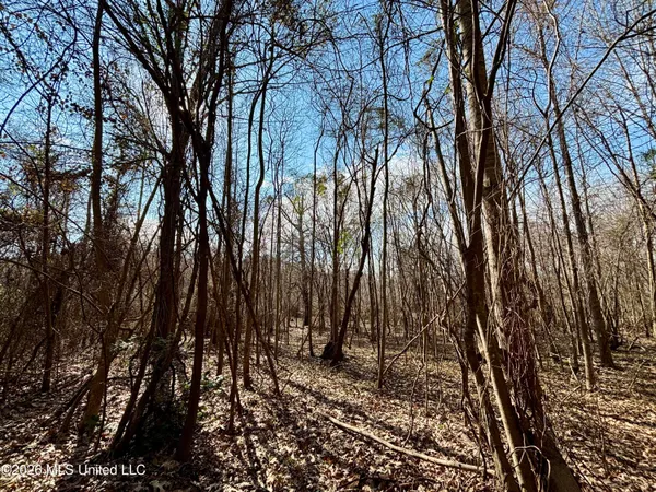 $995,000 | Ms-35, Vaiden, MS 39176