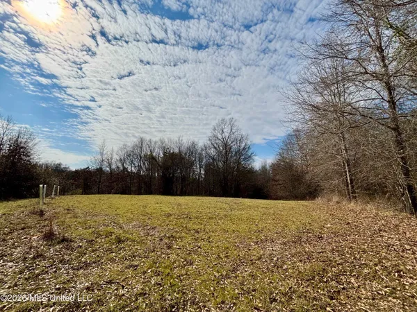 $995,000 | Ms-35, Vaiden, MS 39176