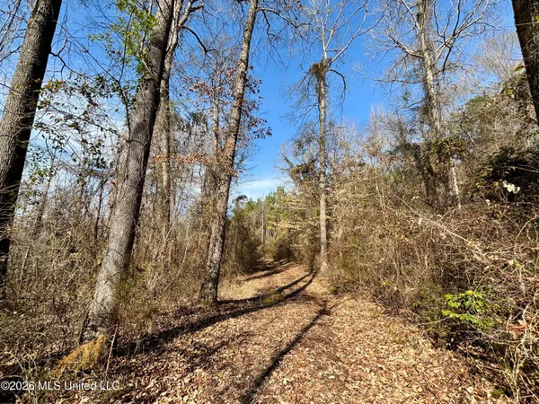 $995,000 | Ms-35, Vaiden, MS 39176