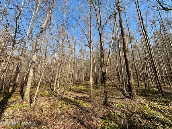 $995,000 | Ms-35, Vaiden, MS 39176