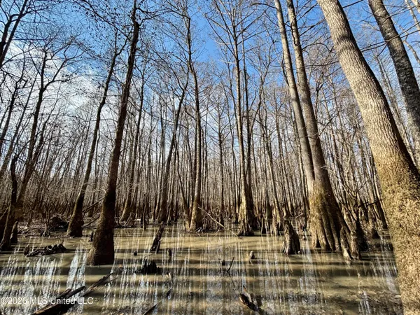 $995,000 | Ms-35, Vaiden, MS 39176