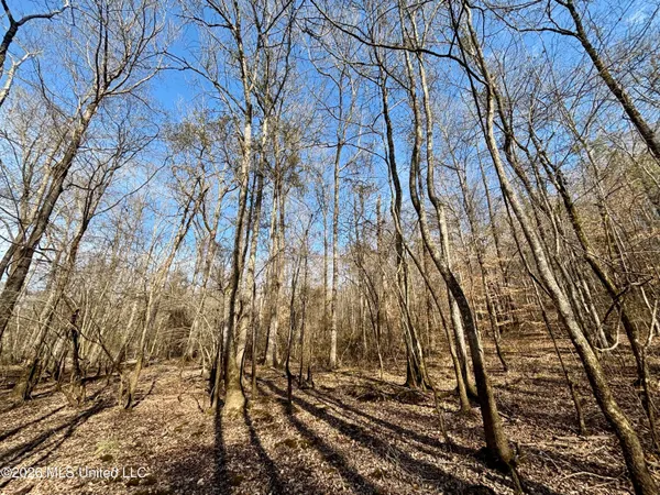 $995,000 | Ms-35, Vaiden, MS 39176