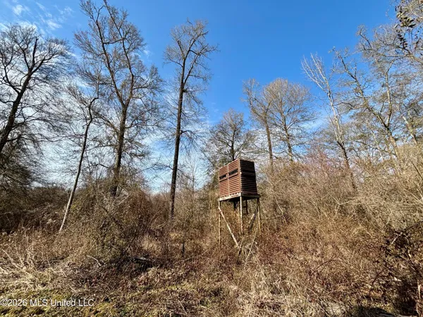 $995,000 | Ms-35, Vaiden, MS 39176