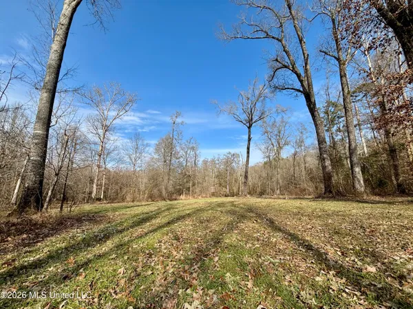 $995,000 | Ms-35, Vaiden, MS 39176