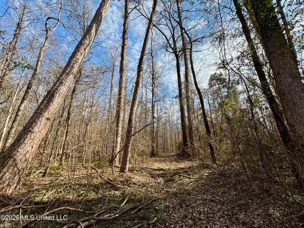 $995,000 | Ms-35, Vaiden, MS 39176