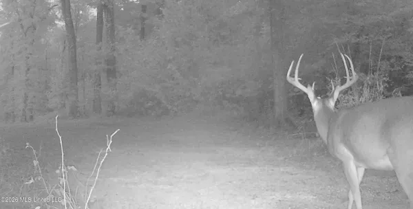 $995,000 | Ms-35, Vaiden, MS 39176