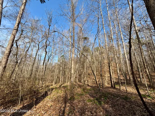 $995,000 | Ms-35, Vaiden, MS 39176