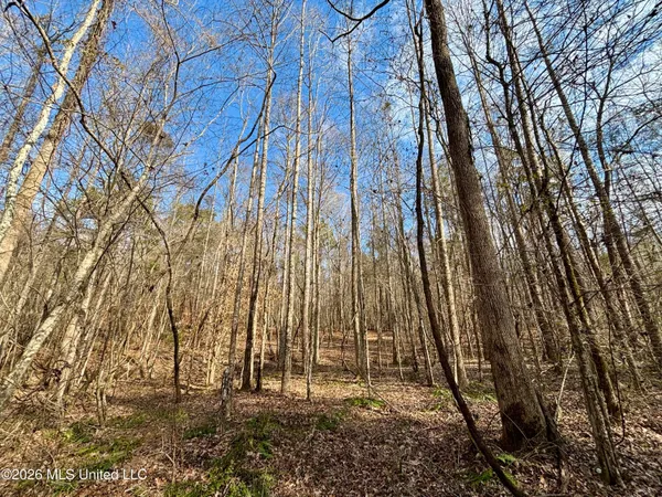 $995,000 | Ms-35, Vaiden, MS 39176